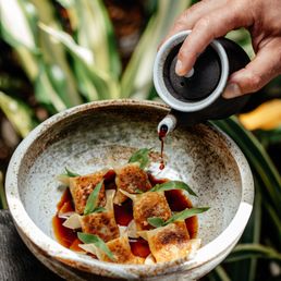 Wagyu Gyoza