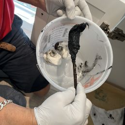 Chris revealing black slime/gunk clogging bathroom sink traps.