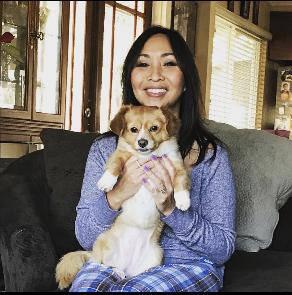 CARMELITAS MOBILE GROOMING Updated August 2024 31 Photos & 29