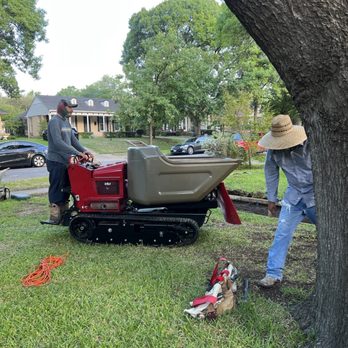 Lopez Concrete and Demolition - Second day progress. Motorized wheel barrow made pouring go quickly. - Masonry/Concrete Near Me - Dallas, Texas