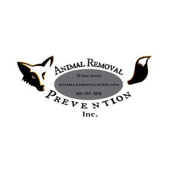 Animal Removal and Prevention - let Animal Removal and Prevention Inc. help you with all you animal control needs. - Pest Control Near Me - Layton, Utah Animal Removal and Prevention - let Animal Removal and Prevention Inc. help you with all you animal control needs. - Pest Control Near Me - Layton, Utah