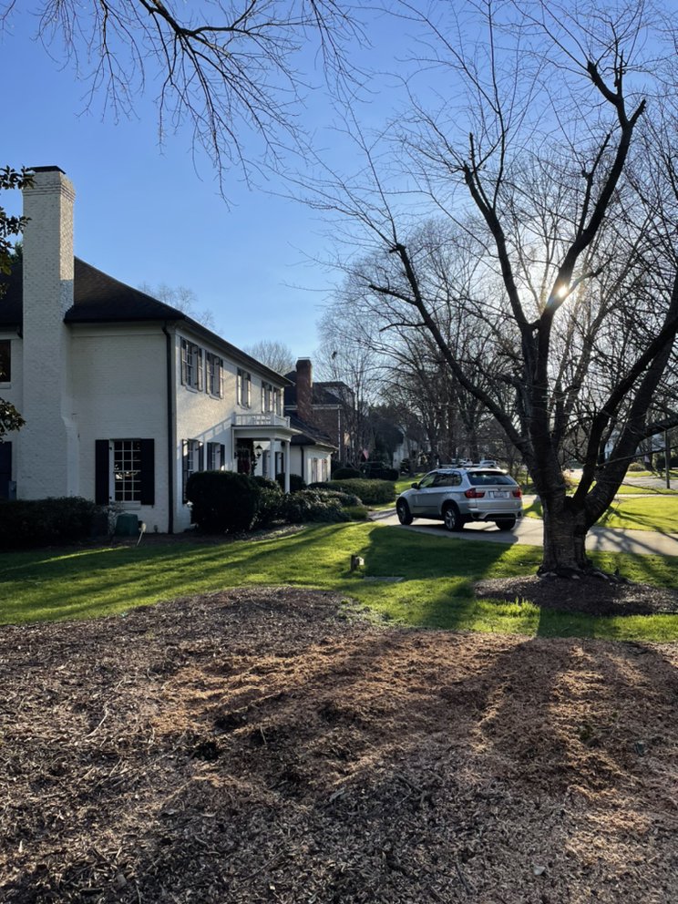 A Plus Stump Grinding - tree service in Charlotte, NC