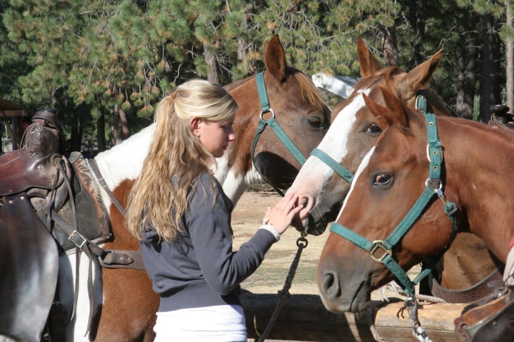 Rich Ranch - equestrian in Seeley Lake, MT