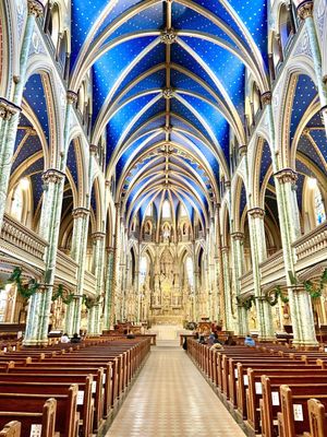 Notre Dame Cathedral Basilica by null