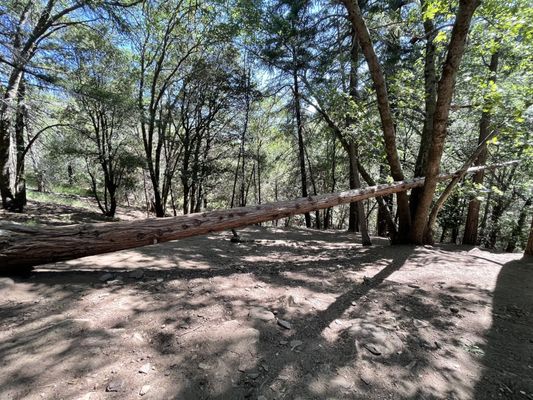 Heart Rock Trail by null