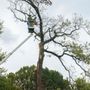 Photo of American Tree Care