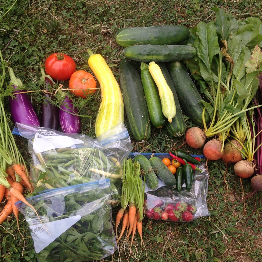 Edible Eden - Harvest! - Landscaping Near Me - Baltimore, Maryland Edible Eden - Harvest! - Landscaping Near Me - Baltimore, Maryland