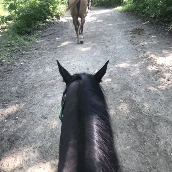 Sarah's Pony Rides - Horseback Riding Near Me - Willow Springs, Illinois
