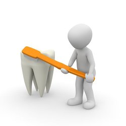 Mark J. Warner, DDS - Toothbrush