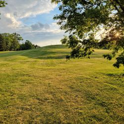 O'Brien Park