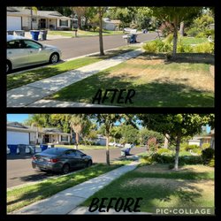 Cutting Edge Property Solutions - A little over grown ( Before & After )