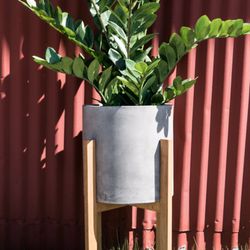 Large selection of planters.