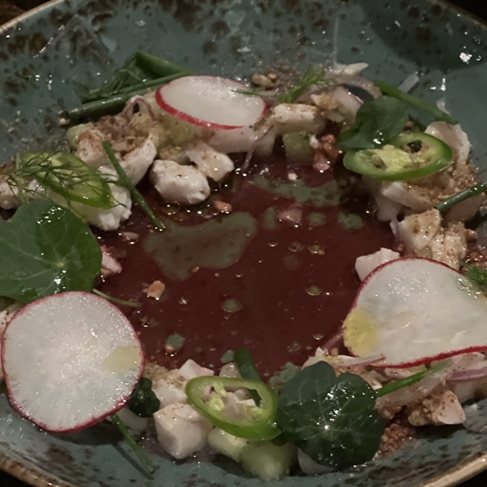 Gemma - Ceviche - French Near Me - Dallas, Texas Gemma - Ceviche - French Near Me - Dallas, Texas