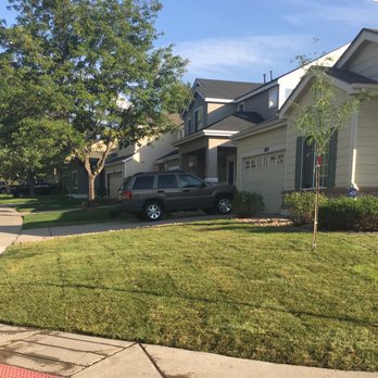 Alameda Landscaping - New sod and landscaping in front yard - Landscaping Near Me Alameda Landscaping - New sod and landscaping in front yard - Landscaping Near Me