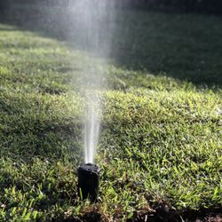 Texas Best Irrigation & Landscaping - Rotor sprinkler head!