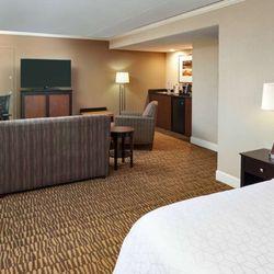 Holiday Inn Executive Center - Guest room