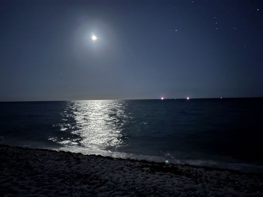 National Hotel by null National Hotel by null