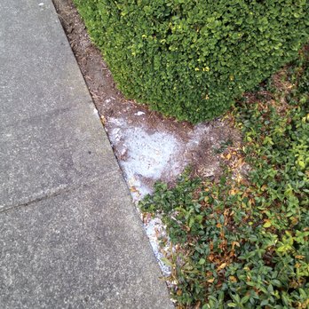 Washboy Pressure Washing - Toxic sludge dumped - Pressure Washers Near Me - Bellingham, Washington Washboy Pressure Washing - Toxic sludge dumped - Pressure Washers Near Me - Bellingham, Washington