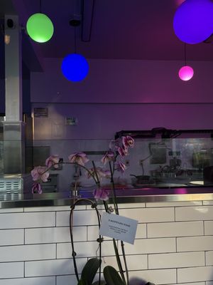 3 Bottled Fish by null
