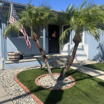 Fore Landscape Services - Palm 1 after - Tree Services Near Me Fore Landscape Services - Palm 1 after - Tree Services Near Me