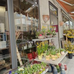Blumen Komander - 21.3.2026