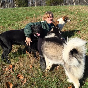 PawSitive Pets - Dog Walkers Near Me - Alexandria, Virginia