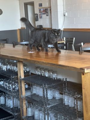 Wiley Roots Brewing Company by null