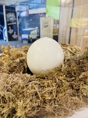 Museum of Science & Industry by null