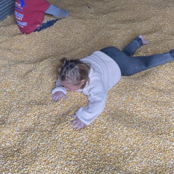 Bear Wallow Farm - Corn silo - Excellent for children who love tactile experiences! I never knew mounds of dried corn would feel so satisfying! - Farms Near Me - Nancy, Kentucky