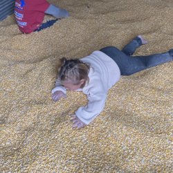 Bear Wallow Farm - Corn silo - Excellent for children who love tactile experiences! I never knew mounds of dried corn would feel so satisfying!