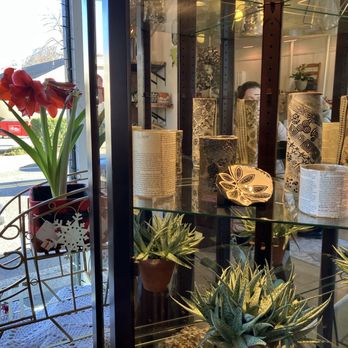 Planted Collective - Art - Gift Shops Near Me - Natick, Massachusetts