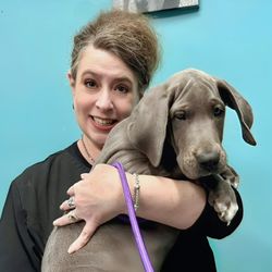 Veterinary Care Center of Chesterfield Valley - Dr. Joback