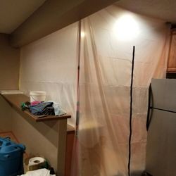 Innovative Floors - We set up full containment and negative air to remove all mold spores.
