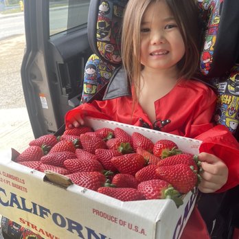 Kenny's Strawberry Farm - Fruits & Veggies Near Me - Fallbrook, California