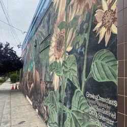 Growing Connections - View from right