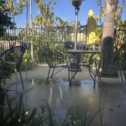 Cute Patio with Grape Vines!