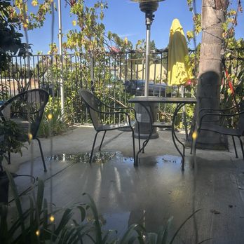 Hector's Pizza - Cute Patio with Grape Vines! - Pizza Near Me - Petaluma, California
