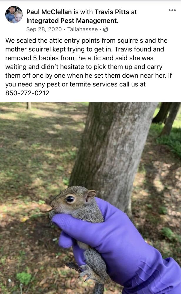 INTEGRATED PEST MANAGEMENT Pest Control 4695 Gautier Dr