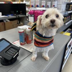 GNC - My purchase today (not the pup  )