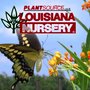 Photo of Louisiana Nursery
