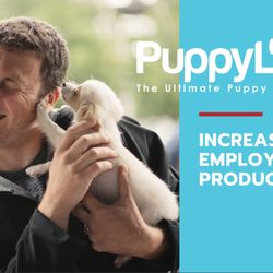 Puppy Love Las Vegas