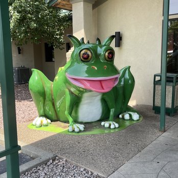 H Toad's Bar & Grill - Me. Toad - Bars Near Me - Lake Ozark, Missouri