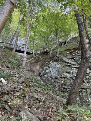 Cloudland Canyon State Park by null