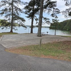 Bald Ridge Creek - Campsite 42