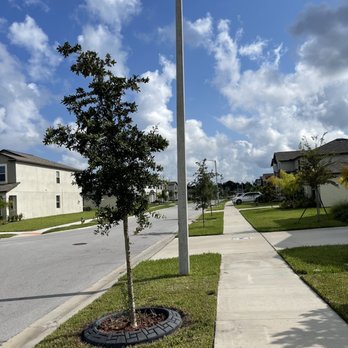 Artistic Ground View - Jet black 3lbs with Ashlar stamp - Masonry/Concrete Near Me - Holiday, Florida Artistic Ground View - Jet black 3lbs with Ashlar stamp - Masonry/Concrete Near Me - Holiday, Florida