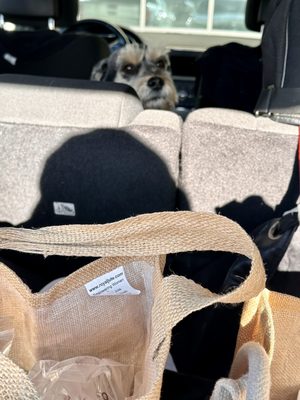 Oliver's Market - Windsor by null