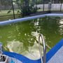 Vital Pool Solutions