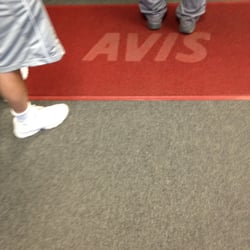 Avis