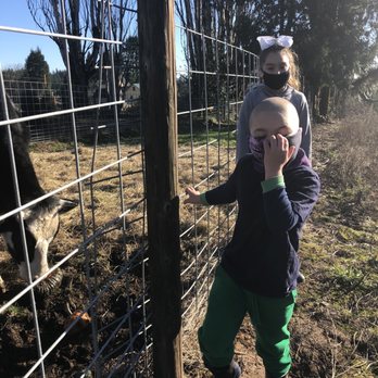 Plumper Farms - Pumpkin Patches Near Me - Portland, Oregon