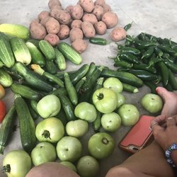 Long Farms